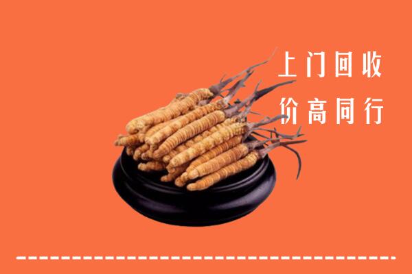 高价求购：五指山市回收散虫草
